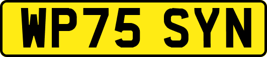 WP75SYN