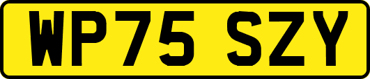 WP75SZY