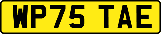 WP75TAE