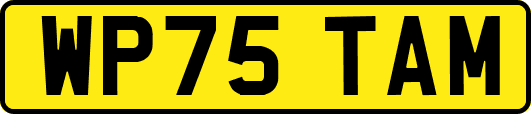 WP75TAM