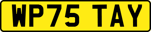 WP75TAY