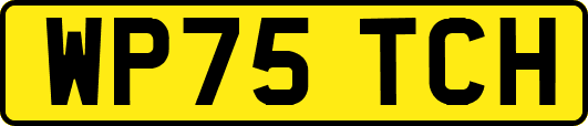 WP75TCH