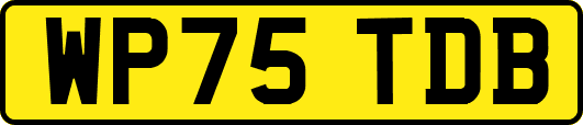 WP75TDB