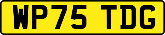 WP75TDG