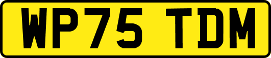 WP75TDM