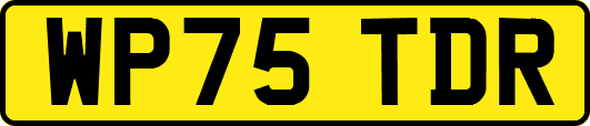 WP75TDR