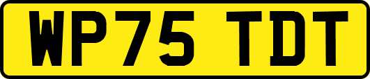 WP75TDT
