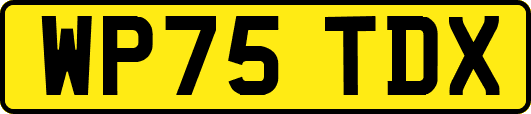 WP75TDX