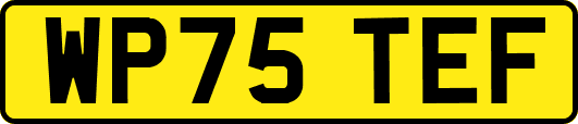 WP75TEF