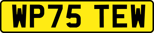 WP75TEW
