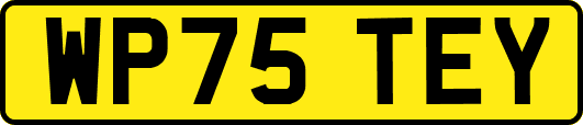 WP75TEY