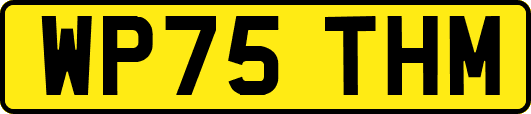 WP75THM