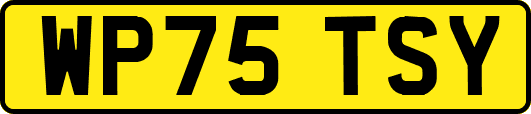 WP75TSY