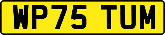 WP75TUM