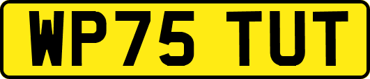 WP75TUT