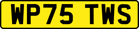 WP75TWS