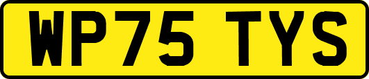 WP75TYS