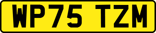 WP75TZM