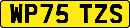 WP75TZS