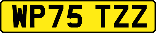 WP75TZZ
