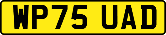 WP75UAD