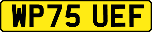 WP75UEF