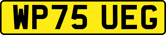 WP75UEG