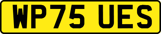 WP75UES
