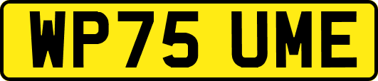 WP75UME
