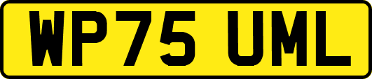 WP75UML