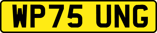 WP75UNG