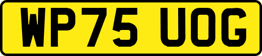 WP75UOG