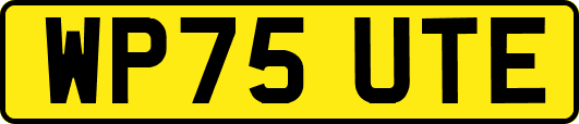 WP75UTE