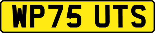 WP75UTS