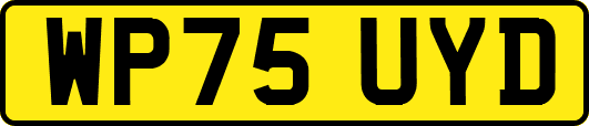 WP75UYD