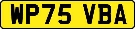 WP75VBA