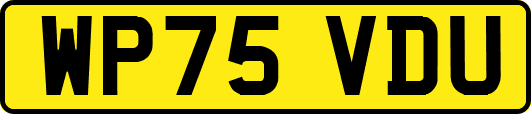 WP75VDU