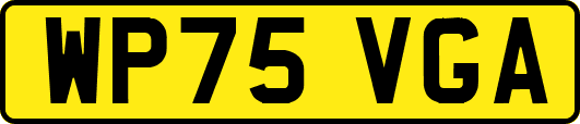 WP75VGA