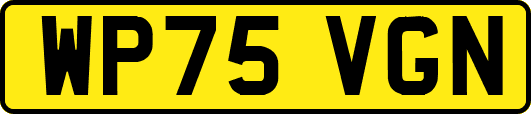 WP75VGN