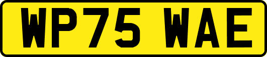 WP75WAE