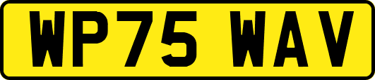 WP75WAV