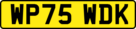 WP75WDK