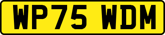 WP75WDM