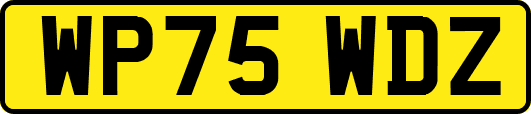WP75WDZ