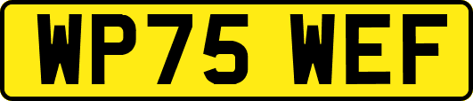 WP75WEF