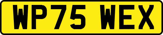 WP75WEX