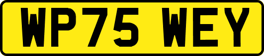 WP75WEY