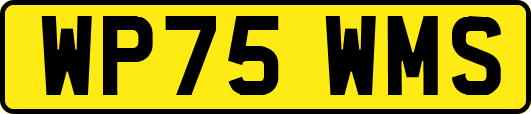 WP75WMS