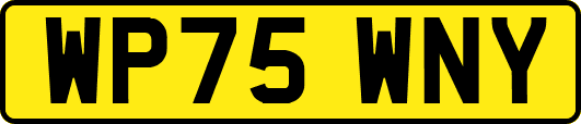 WP75WNY