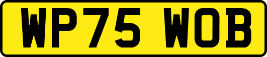 WP75WOB